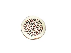 Antichi Sapori dell'Etna Panettone Waldbeeren frutti di bosco