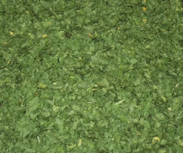 Canarie Prezzemolo a Foglie Secco 100 g selezionato