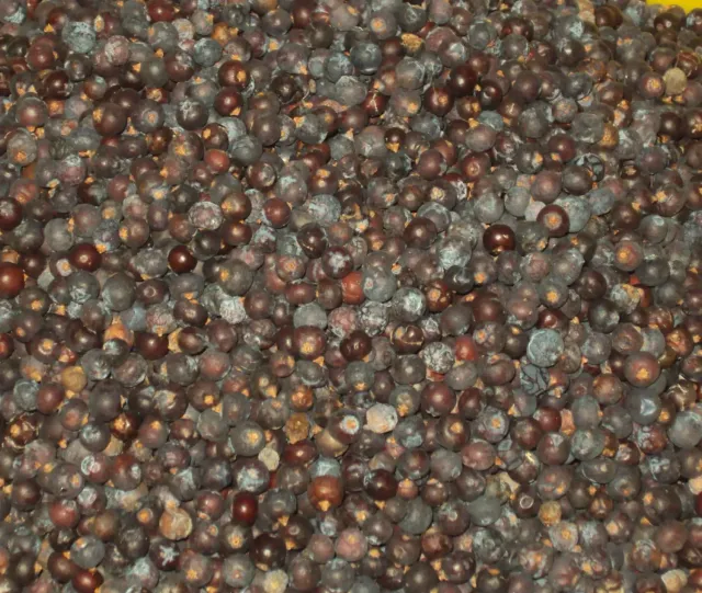 Sicilia che Gusto Ginepro Semi Interi 100 g 1a Scelta