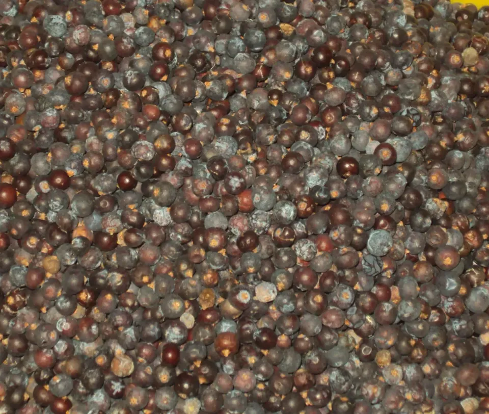 Sicilia che Gusto Ginepro Semi Interi 100 g 1a Scelta