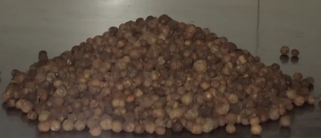 Sicilia che Gusto Pimento Bacche Pepe Giamaicano 100 g