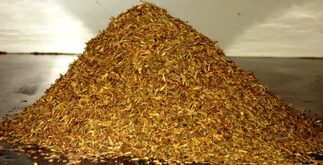 Sicilia che Gusto Timo aghi 100 g erba aromatica secca