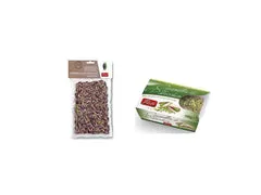 Antichi Sapori dell'Etna Pistachio Green frutta secca verde