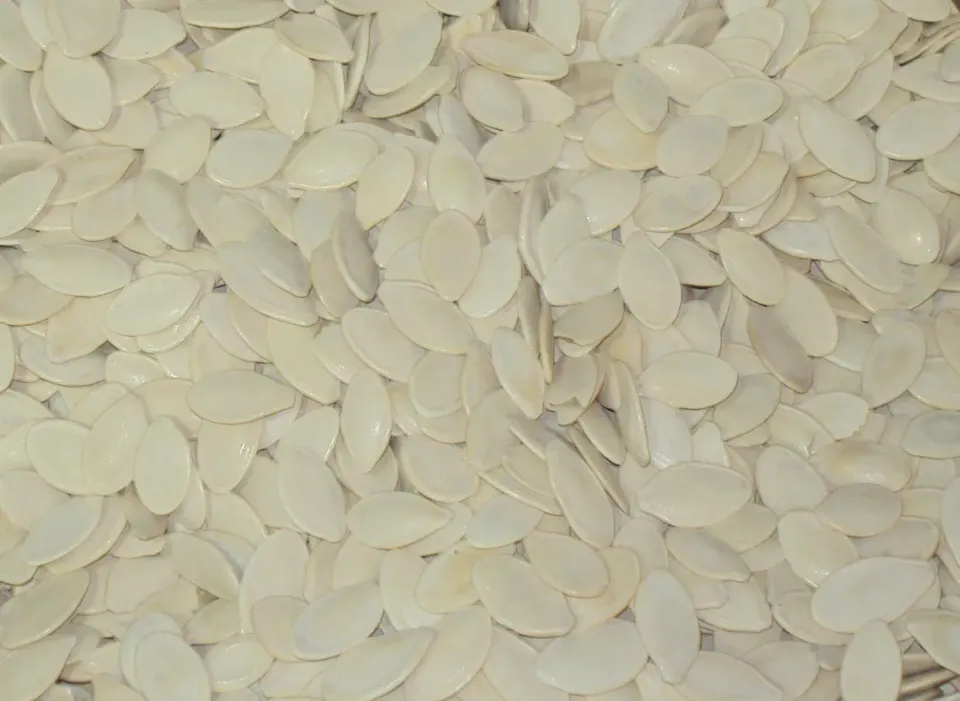 Sicilia che Gusto Semi di Zucca Tostati Salati