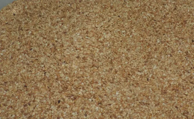 Sicilia che Gusto Semi di sesamo tostati semi 100 g croccanti