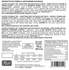 Pistì Lestivo Fotonico TOP Panettone Pesca Pistacchio 750 g