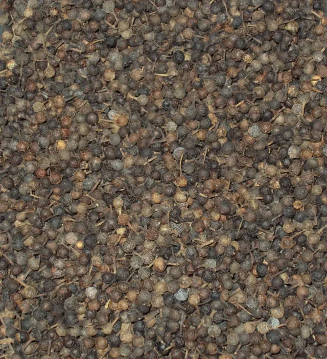 Sicilia che Gusto pepe di cubebe 100 g spezia intera