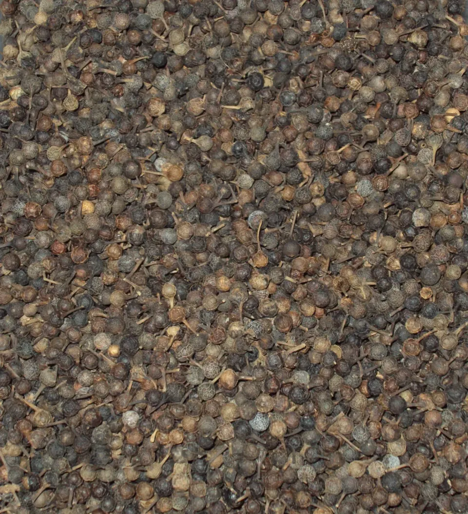 Sicilia che Gusto pepe di cubebe 100 g spezia intera