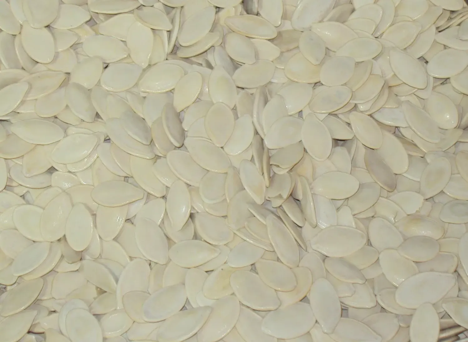 Sicilia che Gusto Semi di Zucca Tostati Salati