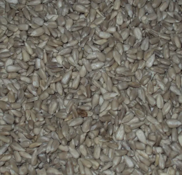Sicilia che Gusto semi di girasole decorticati 100 g