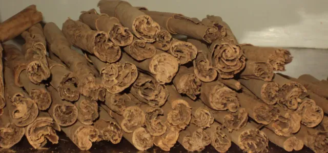 Sicilia che Gusto Cannella stecche 100 g spezia